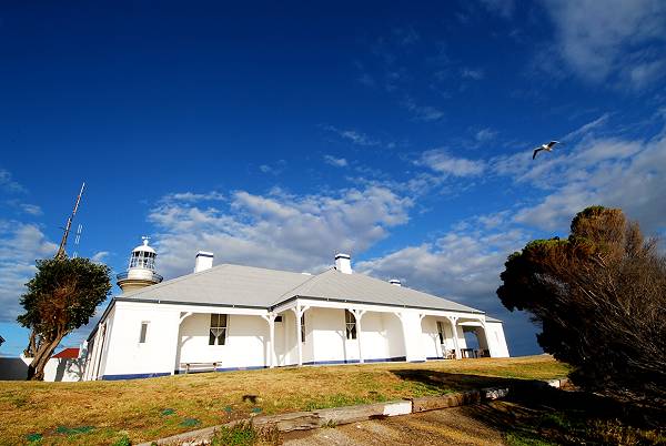 Montague Island courtesy of Destination NSW; 600x402