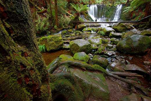 Horseshoe Falls, Central Tasmania; photo Michael Walters Photography courtesy Tourism Tasmania