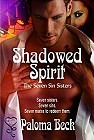 book covers, Shadowed Spirit, by Paloma Beck; 94x140