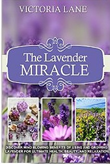 book cover, The Lavender Miracle, by Victoria Lane; 220x329