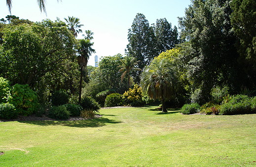 Royal Botanic Gardens, Guilfoyle Lawn; 519x339