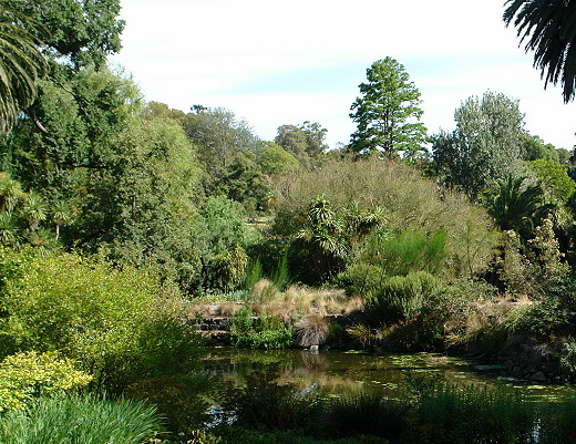 Royal Botanic Gardens Melbourne, Long Island seen from Northern Lawn (c) 2009 Ali Kayn; 520x401