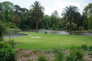 Royal Botanic Gardens Melbourne Ornamental Lake (c) 2013 Ali Kayn; 310x207