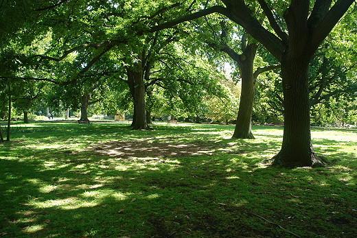Royal Botanic Gardens, Melbourne, Oak Lawn (c) Ali Kayn 2013; 520x347