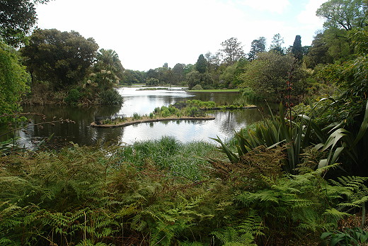Royal Botanic Gardens Melbourne Ornamental Lake near William Tell House (c) 2013 Ali Kayn; 520x347