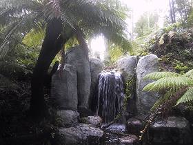Rain forest Atrium, Melbourne Museum, Carlton Gardens, Victoria, Australia