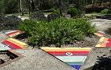 Gay pride garden, Pipemakers Park, Maribrynong, Victoria, Australia (c) MMXXII Ali Kayn