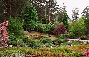 Rhododendron Gardens (c) Richard Hryckiewicz 1996
