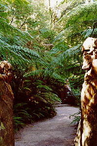 pic, William Ricketts Sanctuary, Dandenong, Victoria, Australia, image; rickt16.jpg - 23172 Bytes