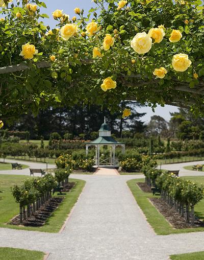 Victorian State Rose Garden, Werribee Park, photograph courtesy Tourism Victoria; 400x509