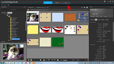 Corel PaintShop Pro X6 Manage files; 400x225