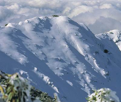 Victoria's Alpine National Park; 400x338