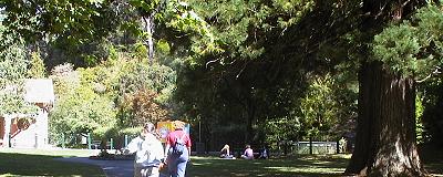 Daylesford springs, Victoria, Australia (photograph); 400x160