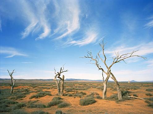Australian desert scene; photograph courtesty australia.com