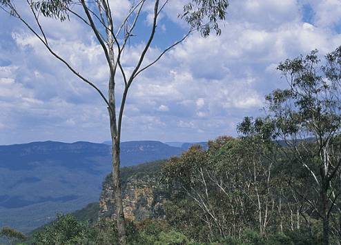 Blue Mountains; photograph courtesy Tourism NSW