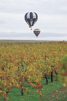 Ballooning over Barossa Valley, South Australia; 1992; photographer Neale Winter