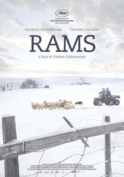 movie poster, Rams, Festivale film review; 400x572