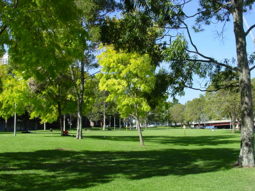 Batmark Park, Melbourne, Australia, photograph (c) Ali Kayn 2005; 520x390