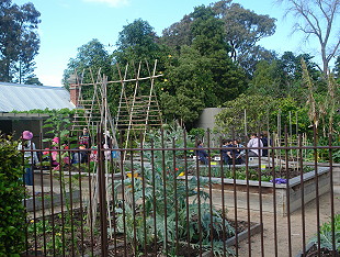 Royal Botanic Gardens, Melbourne, Children's Garden; 310x234