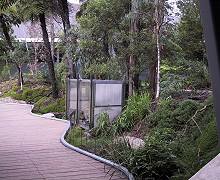 Rainforest Atrium, Melbourne Museum,Victoria, Australia