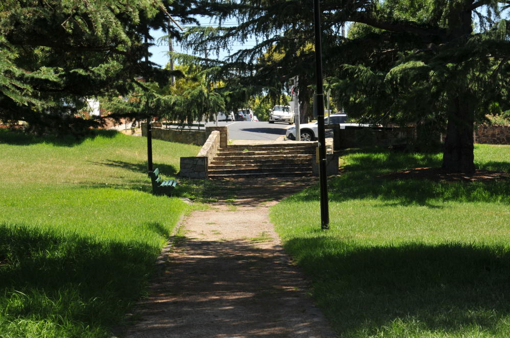 Established trees and broad stone steps, Jacobs Reserve, Brunswick West, Victoria (c) MMXXII Ali Kayn; 1000x664