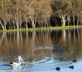 Victoria Park Lake, Shepparton; photo Robert Mason 2005, courtesy Tourism Victoria